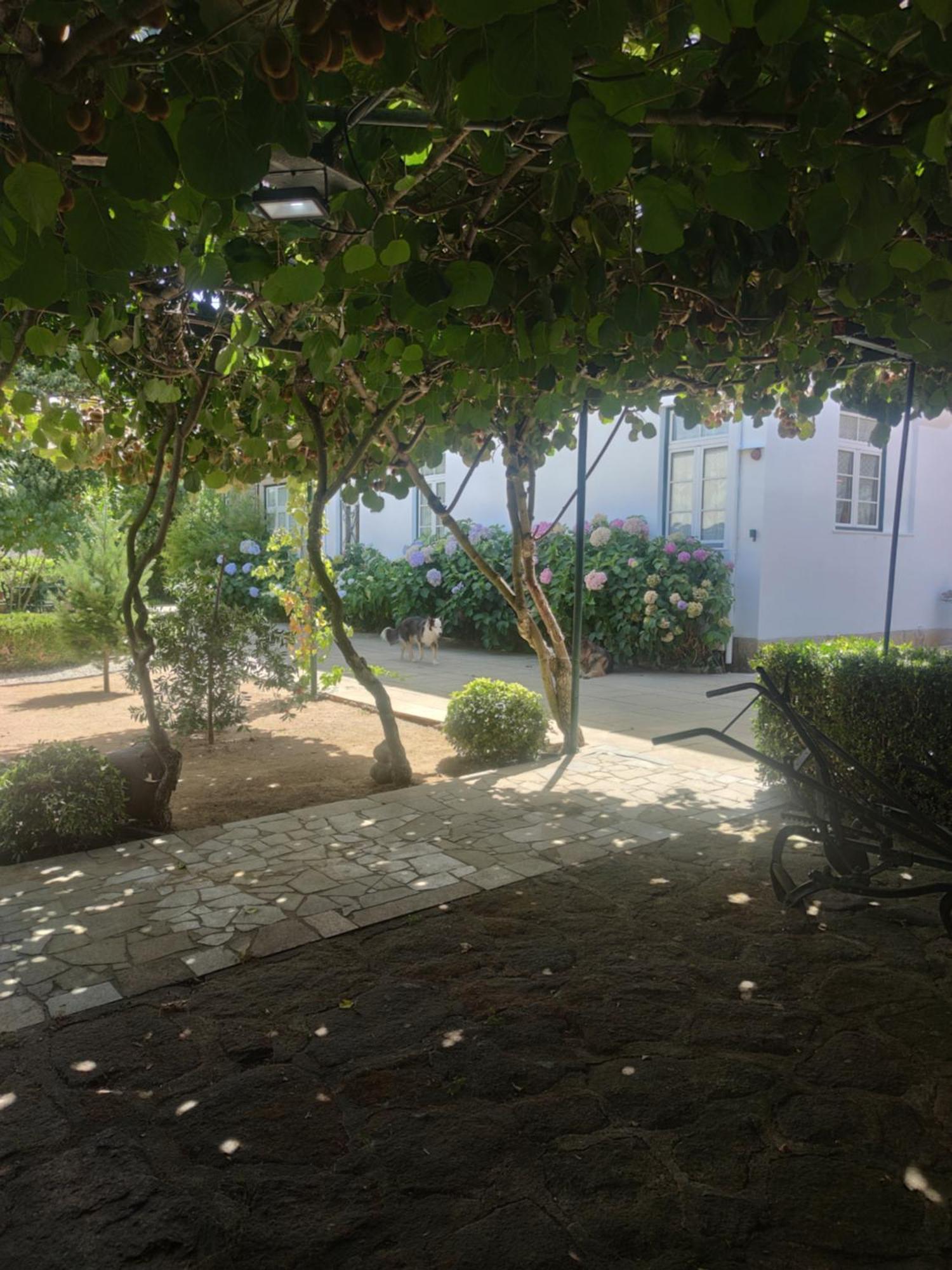Real Santo Antonio Guest House Tarouca Eksteriør billede